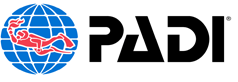 padi-1-1