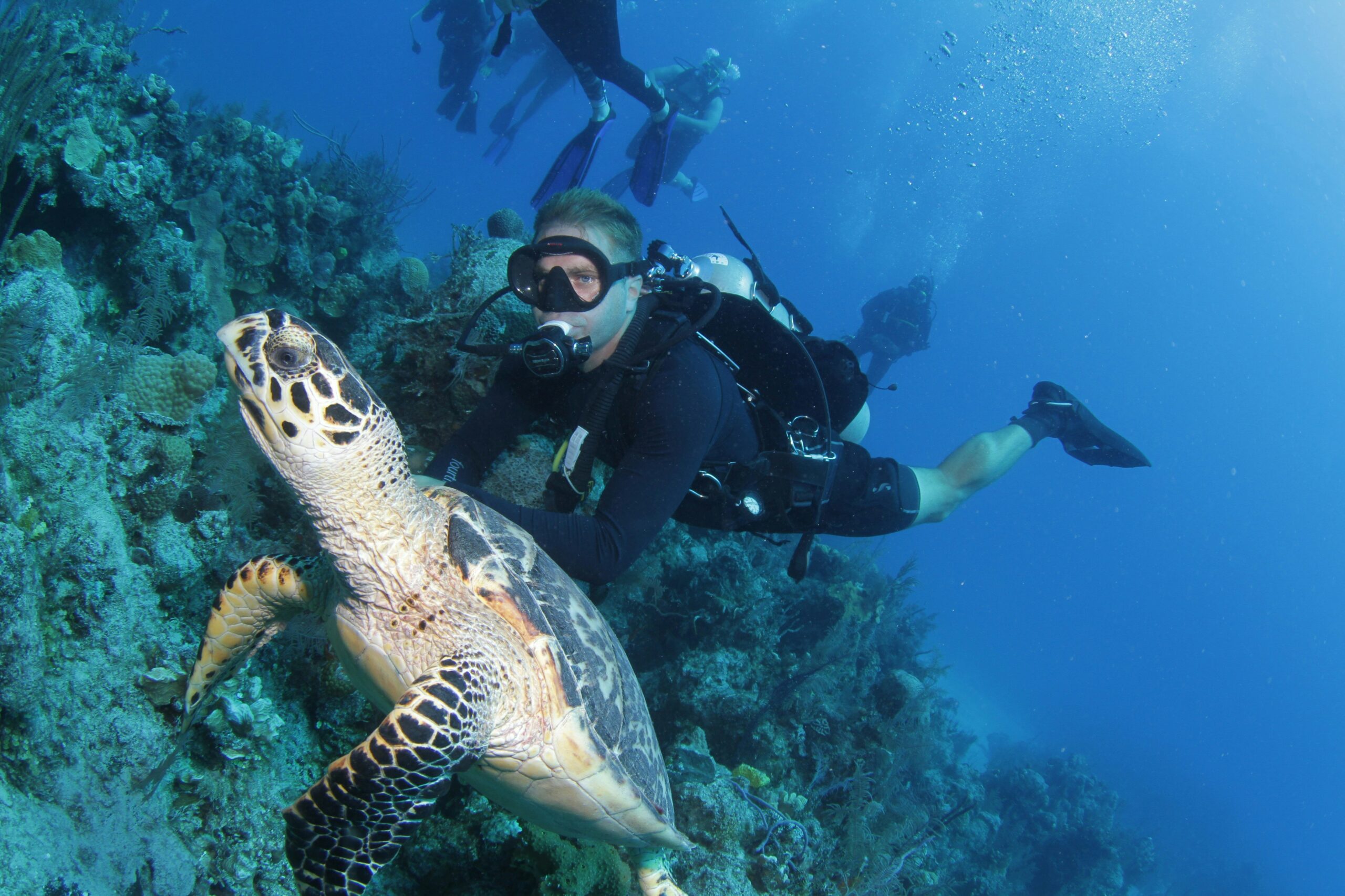 scuba-diving-premium
