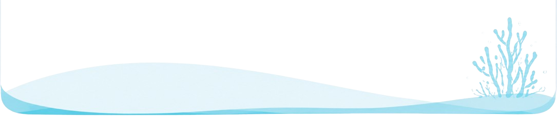card-background