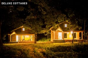 dandeli-accommodation-d14-1
