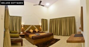 dandeli-accommodation-d15-1