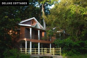 dandeli-accommodation-d2-1