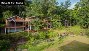 dandeli-accommodation-d21-1