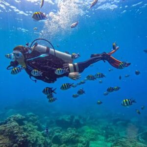 Scuba diver swimming over a coral reef with tropical fish at Netrani Island near Murudeshwara